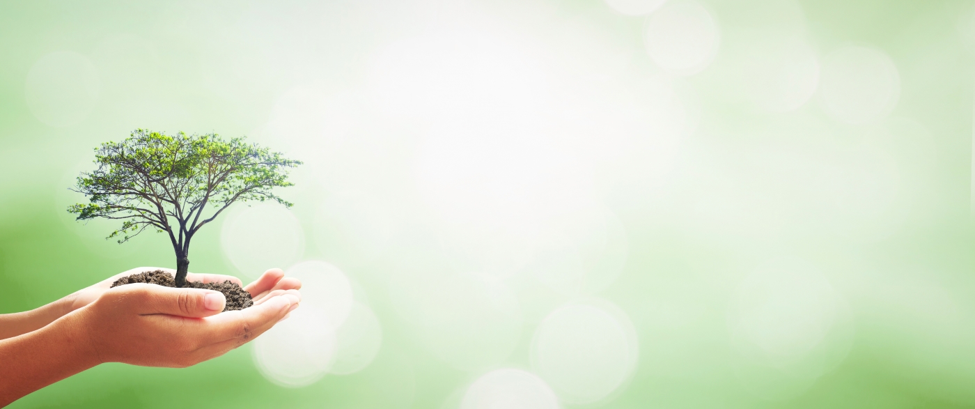 Slide background